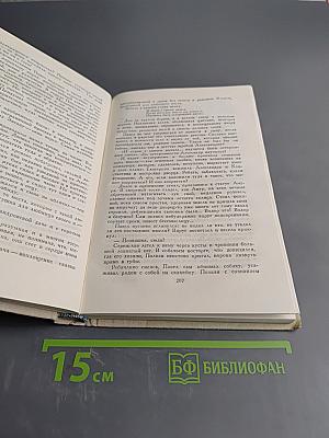 Одеты камнем. Михайловский замок