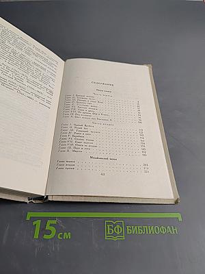 Одеты камнем. Михайловский замок