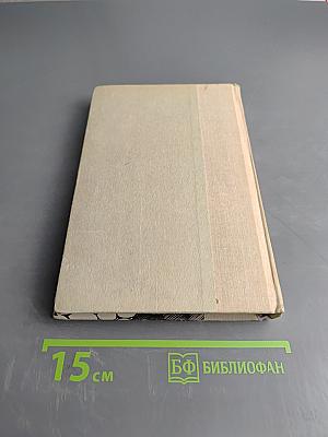 Одеты камнем. Михайловский замок