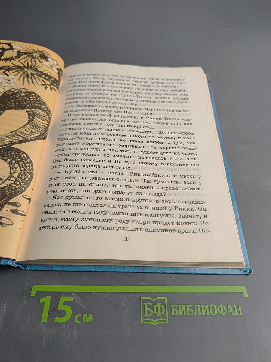 Кошка, гулявшая сама по себе