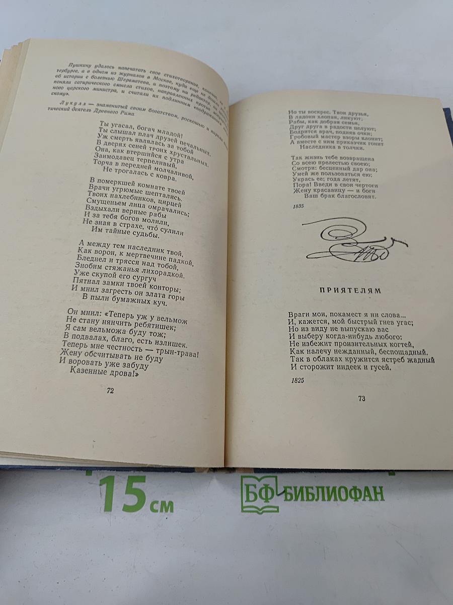 Стихотворения. Школьная библиотека