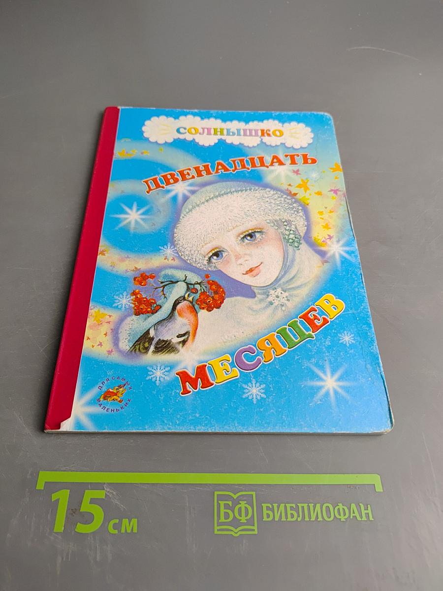 Двенадцать месяцев