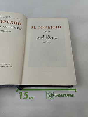 Жизнь Клима Самгина. Том 19