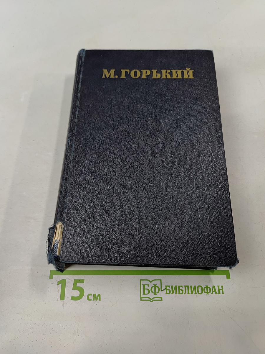 Жизнь Клима Самгина. Том 19