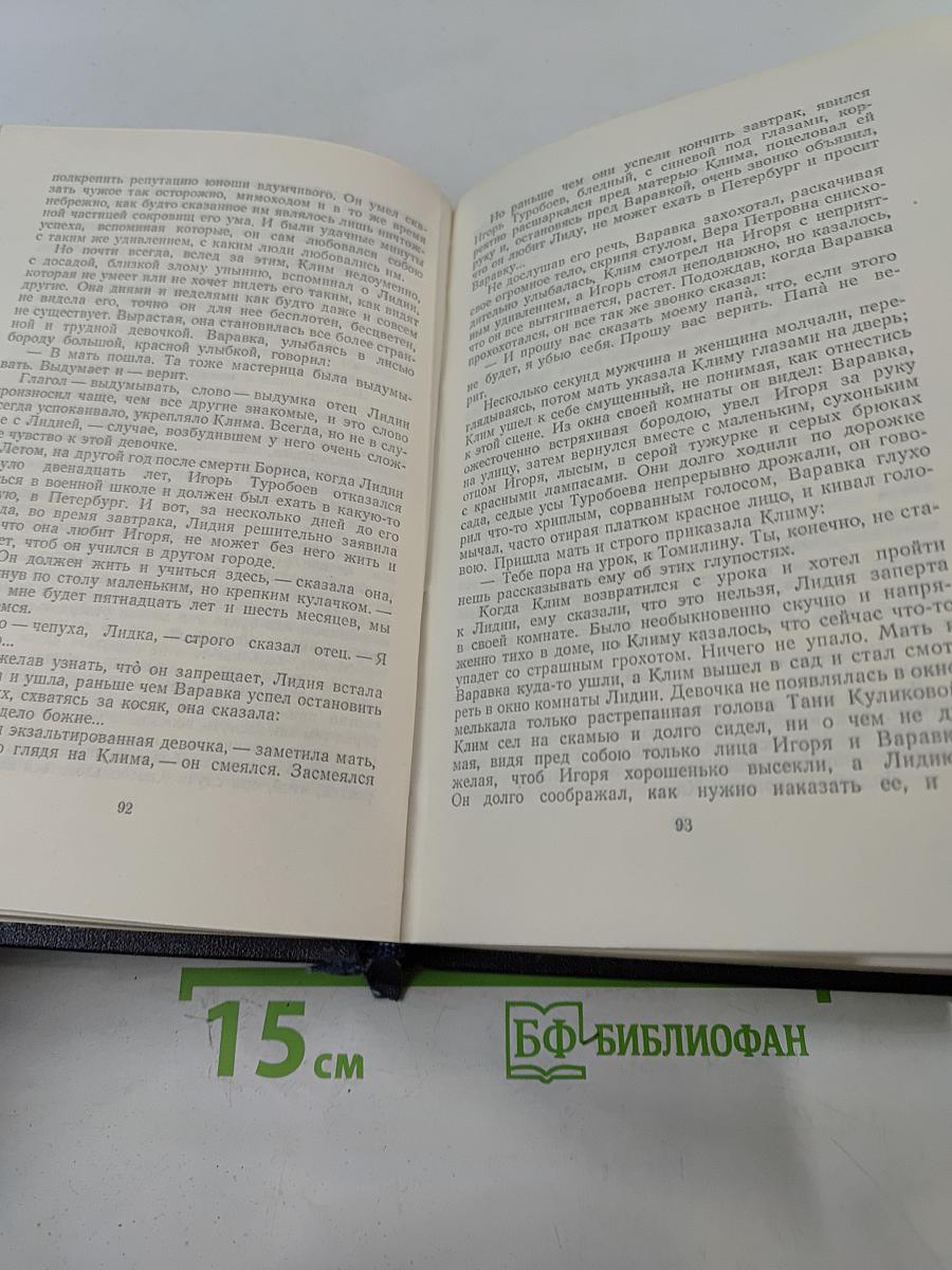 Жизнь Клима Самгина. Том 19