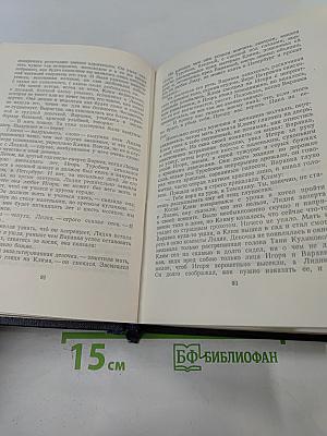 Жизнь Клима Самгина. Том 19