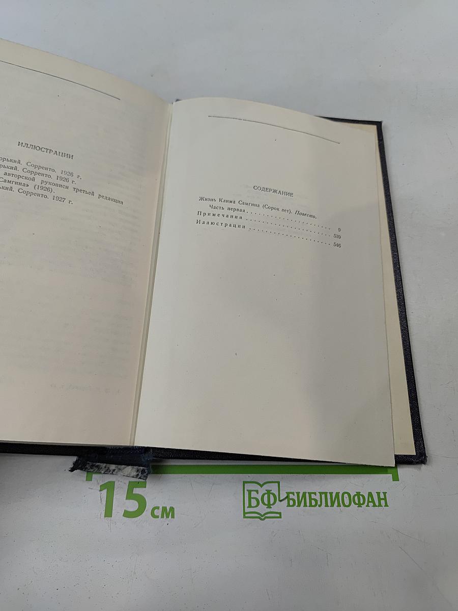 Жизнь Клима Самгина. Том 19