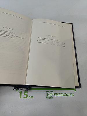 Жизнь Клима Самгина. Том 19