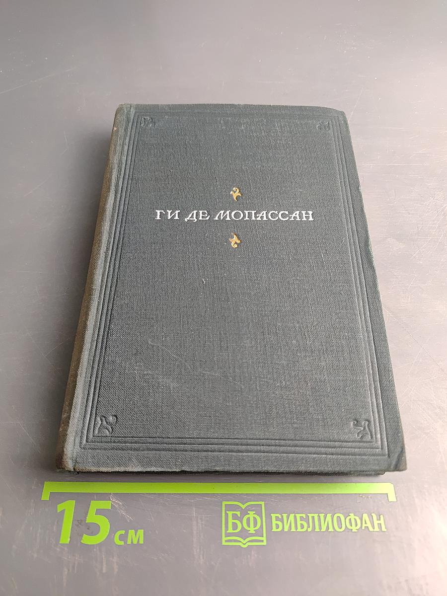 Господин Паран. Маленькая рок. Орля. Том VII