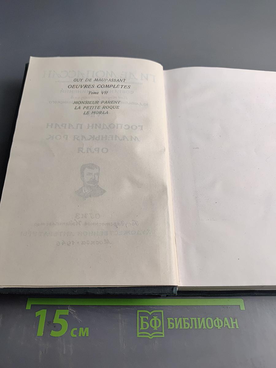 Господин Паран. Маленькая рок. Орля. Том VII
