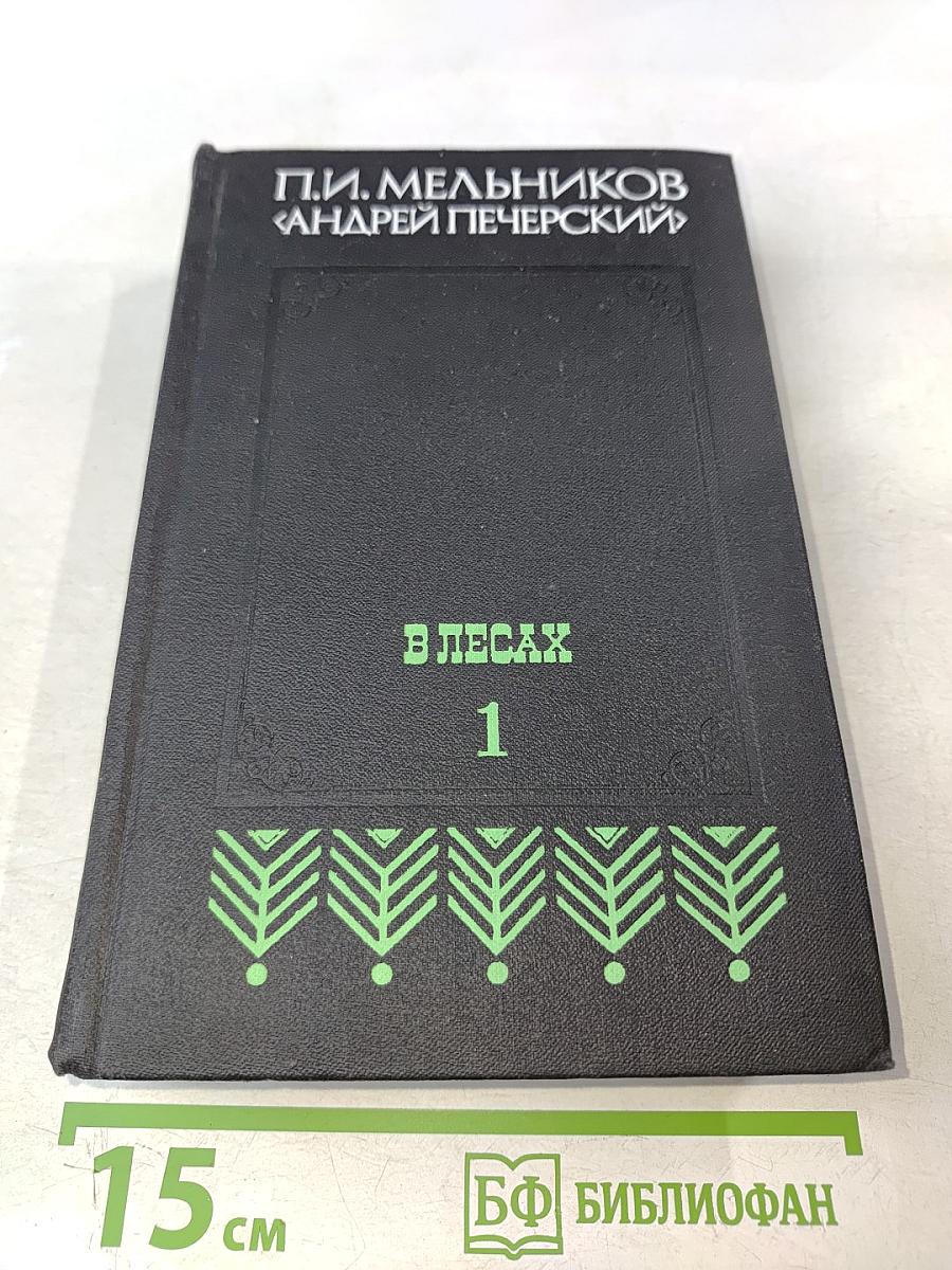 В лесах. Книга первая