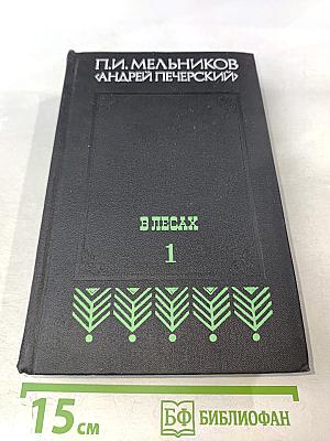 В лесах. Книга первая