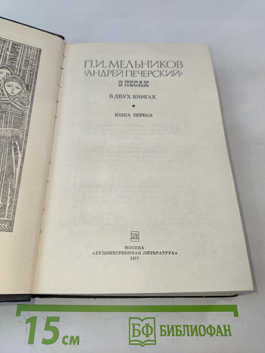 В лесах. Книга первая