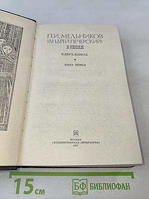 В лесах. Книга первая