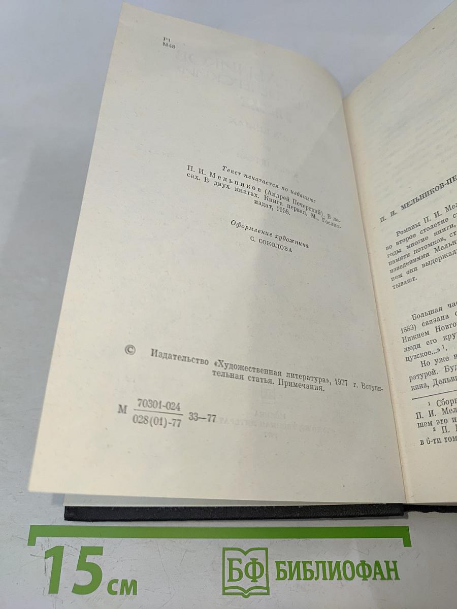 В лесах. Книга первая