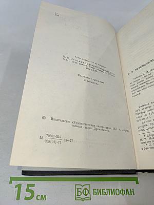 В лесах. Книга первая