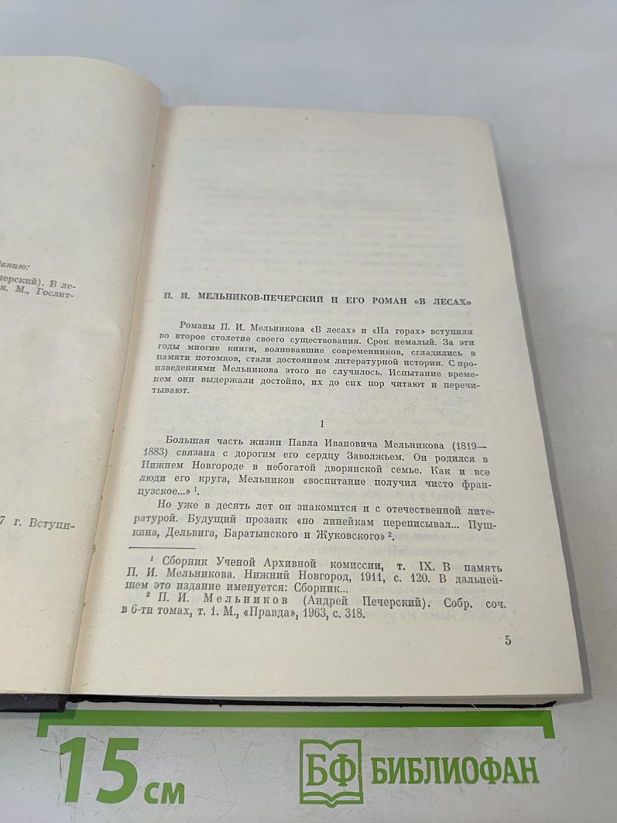 В лесах. Книга первая