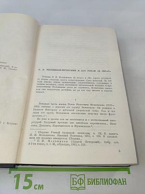 В лесах. Книга первая