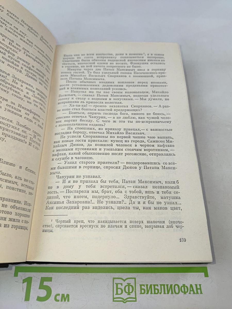 В лесах. Книга первая