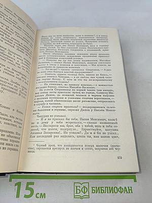 В лесах. Книга первая