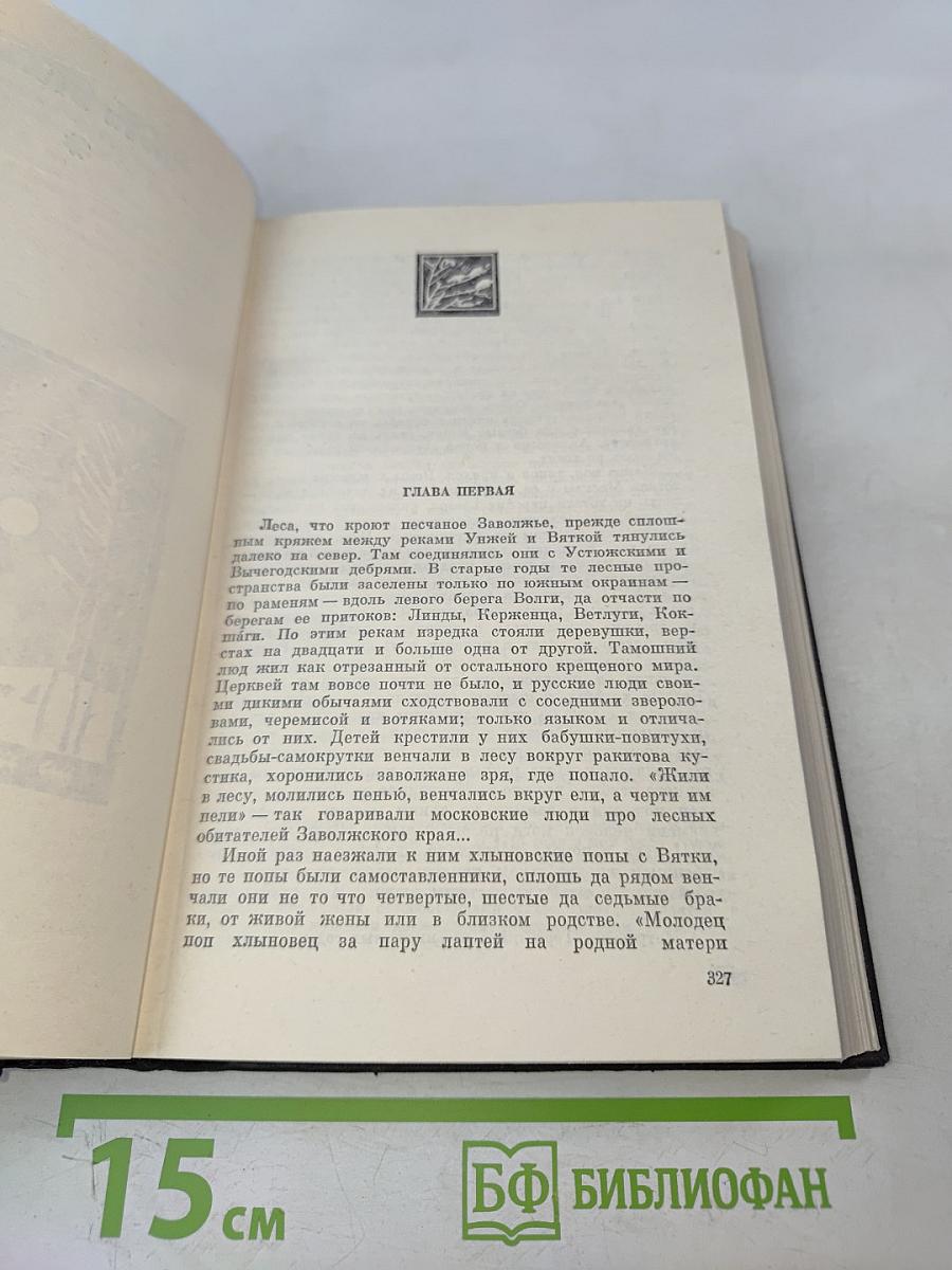 В лесах. Книга первая