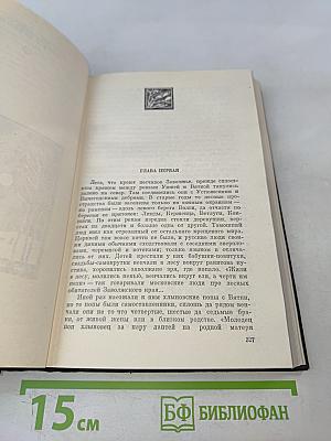 В лесах. Книга первая