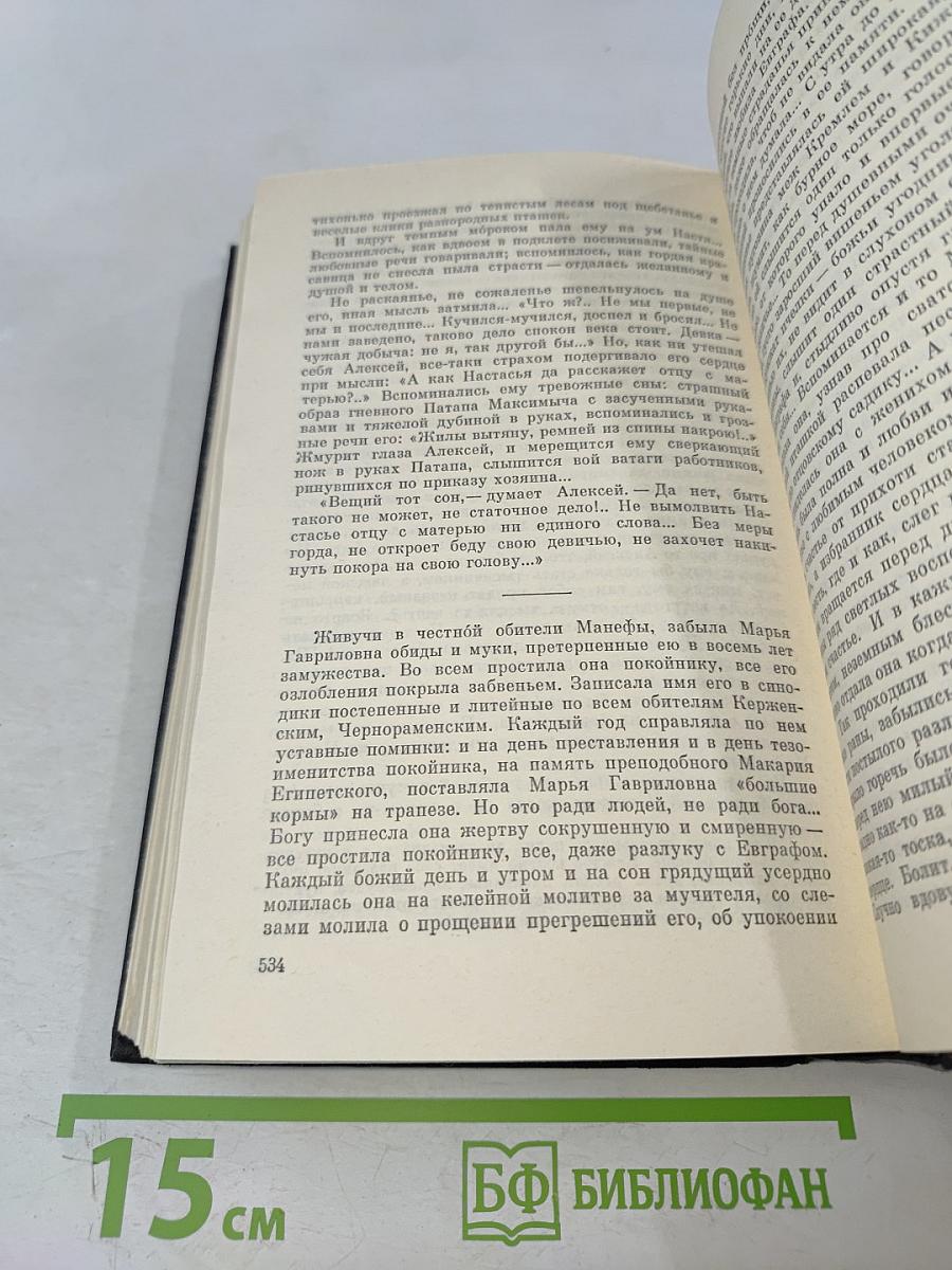 В лесах. Книга первая