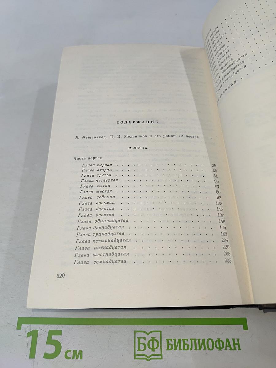 В лесах. Книга первая