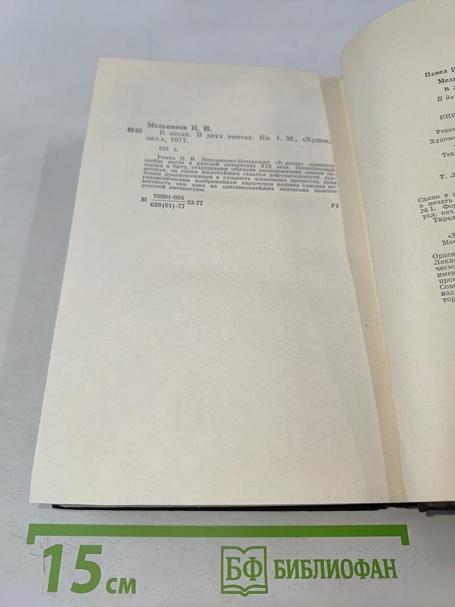 В лесах. Книга первая