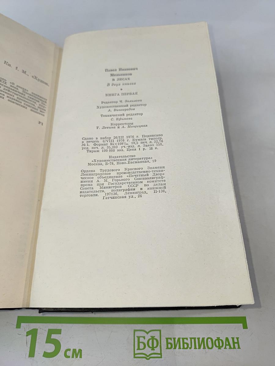 В лесах. Книга первая