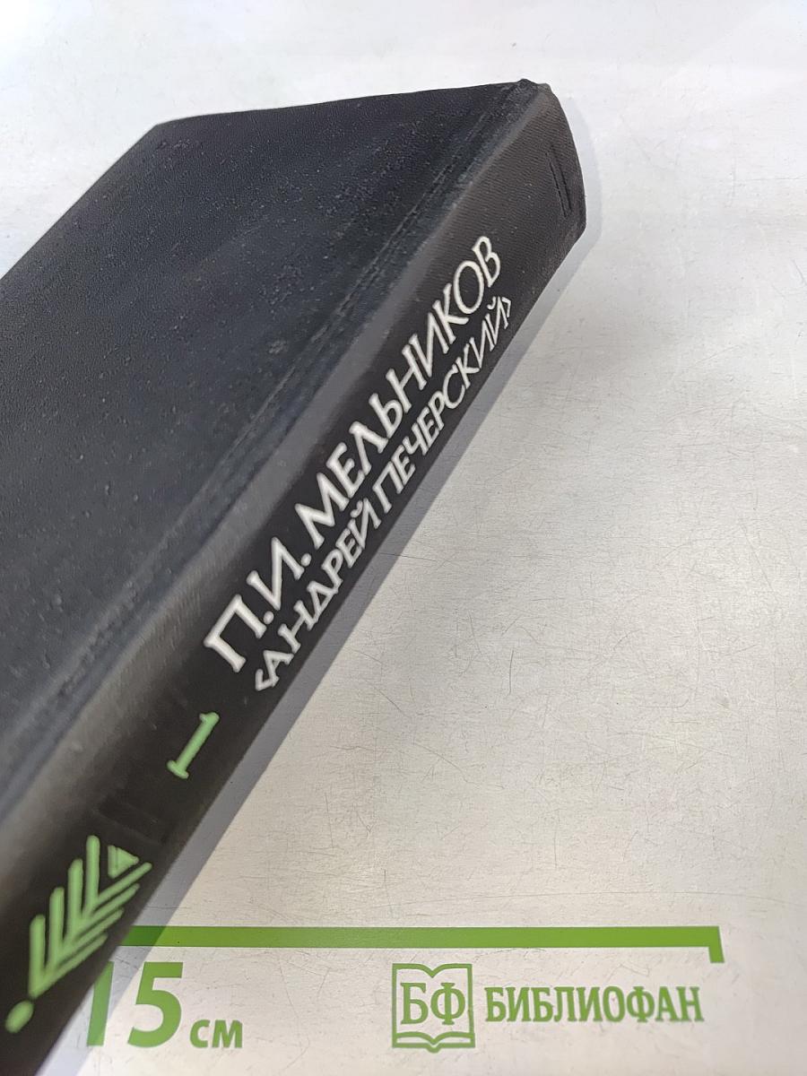 В лесах. Книга первая