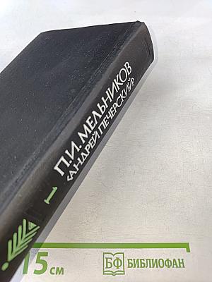 В лесах. Книга первая