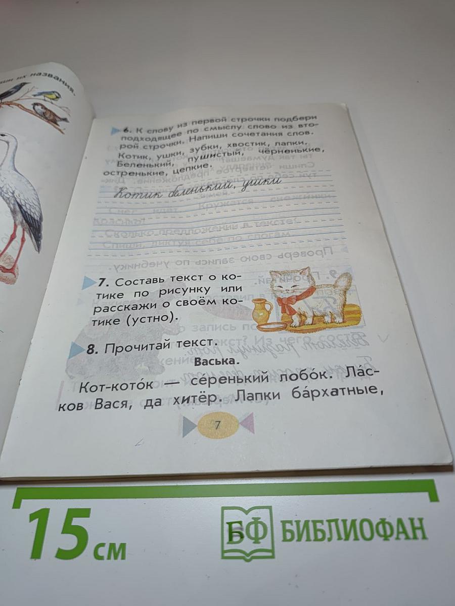Русский язык. Учебник для 1 класса