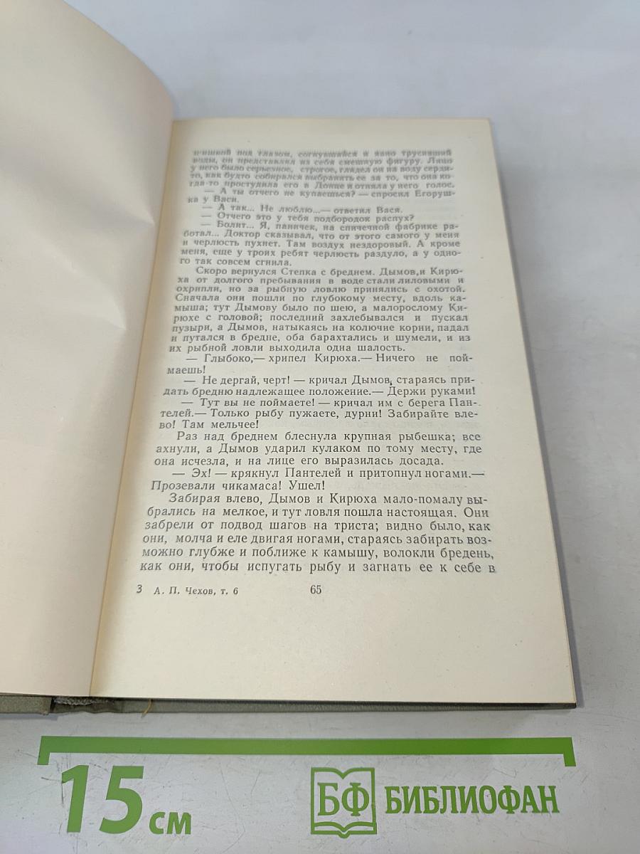 Собрание сочинений. Том шестой. Повести и рассказы 1888-1891