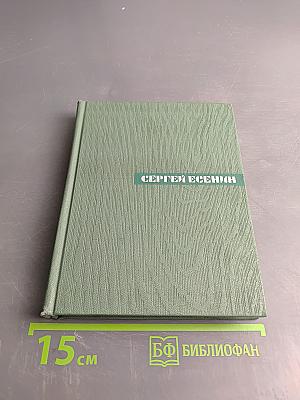 Собрание сочинений. Том четвертый. Проза. Статьи и заметки