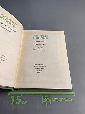 Собрание сочинений. Том четвертый. Проза. Статьи и заметки