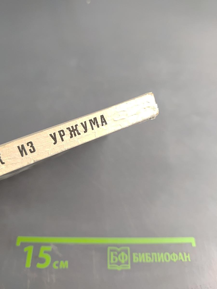 Мальчик из Уржума