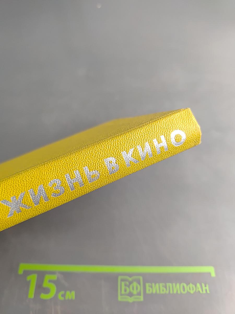 Жизнь в кино