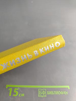 Жизнь в кино