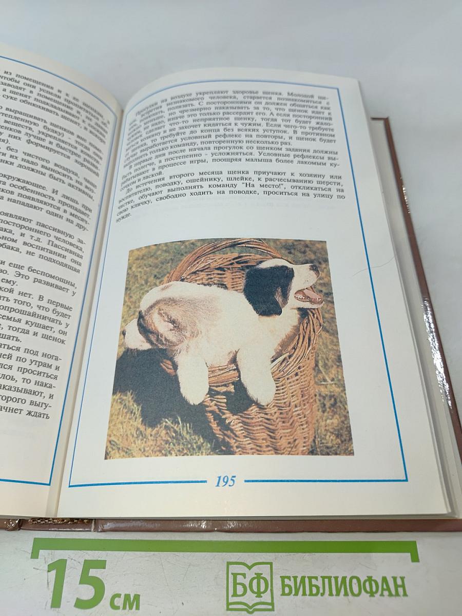 Служебное и декоративное собаководство