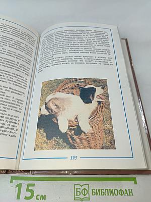 Служебное и декоративное собаководство