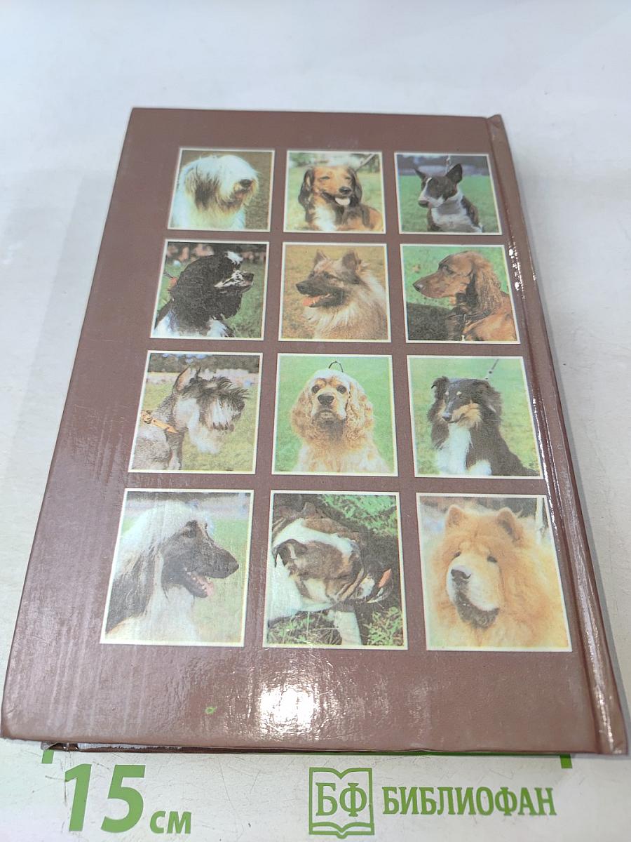 Служебное и декоративное собаководство