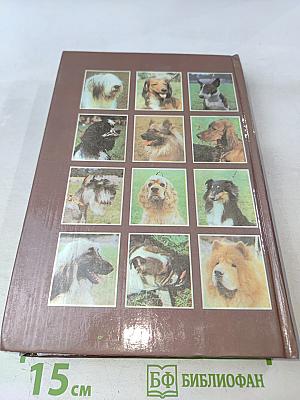 Служебное и декоративное собаководство