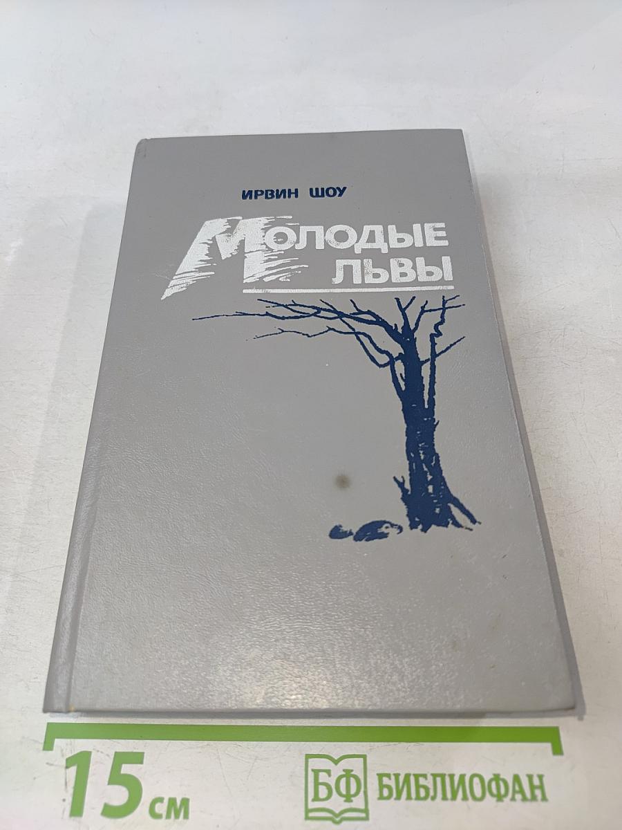 Молодые львы