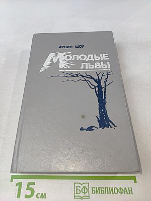 Молодые львы