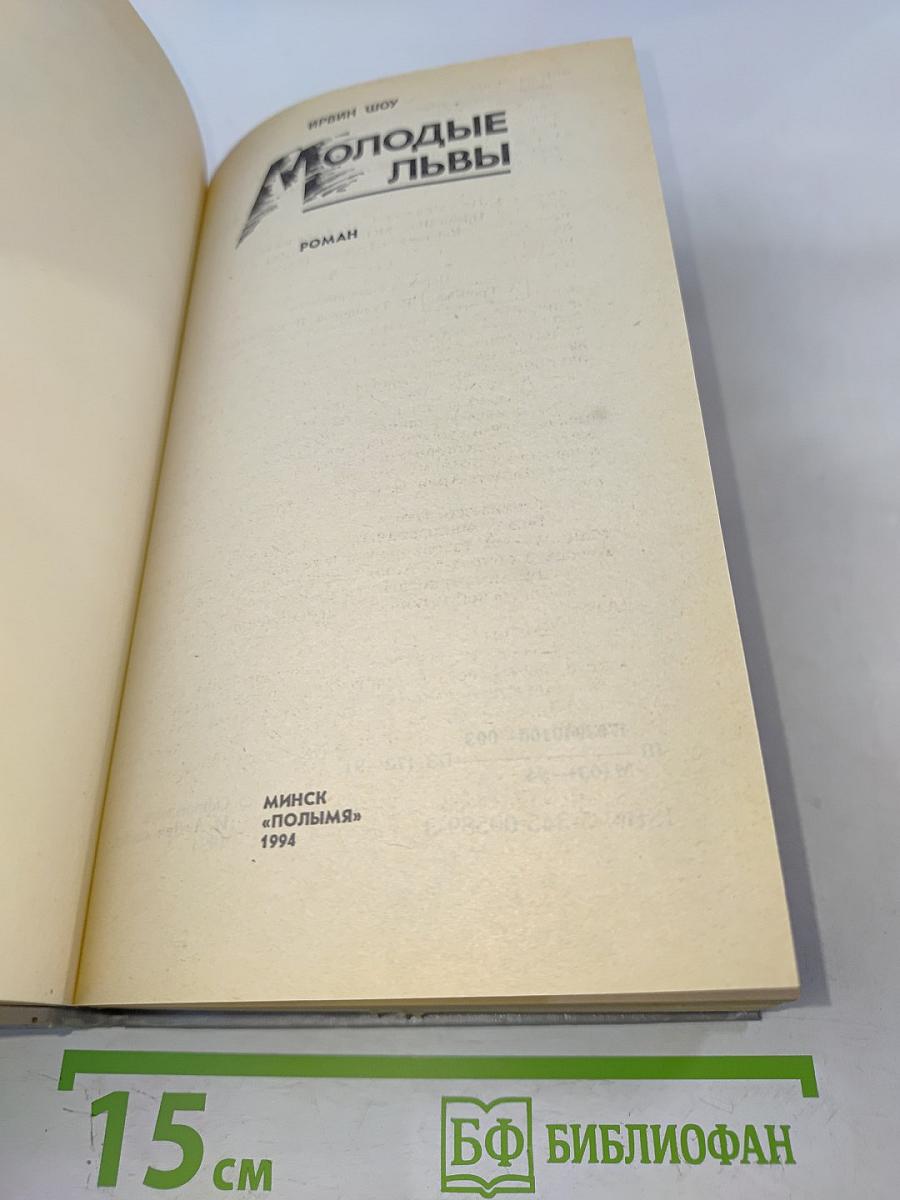 Молодые львы