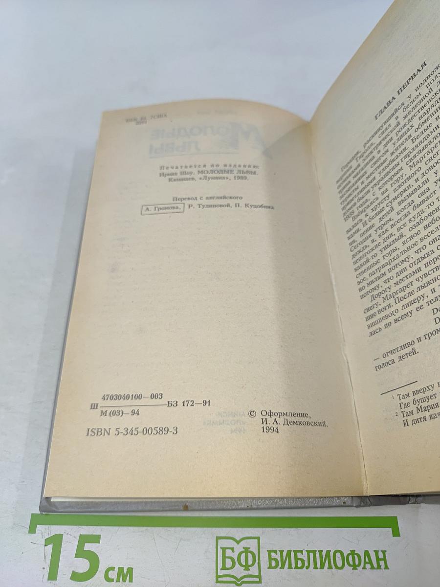 Молодые львы