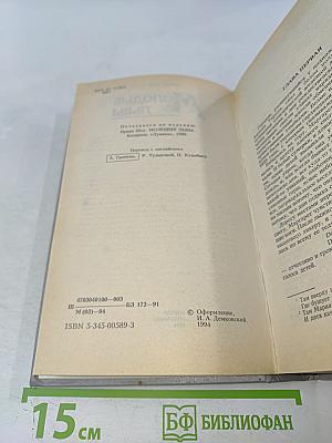 Молодые львы