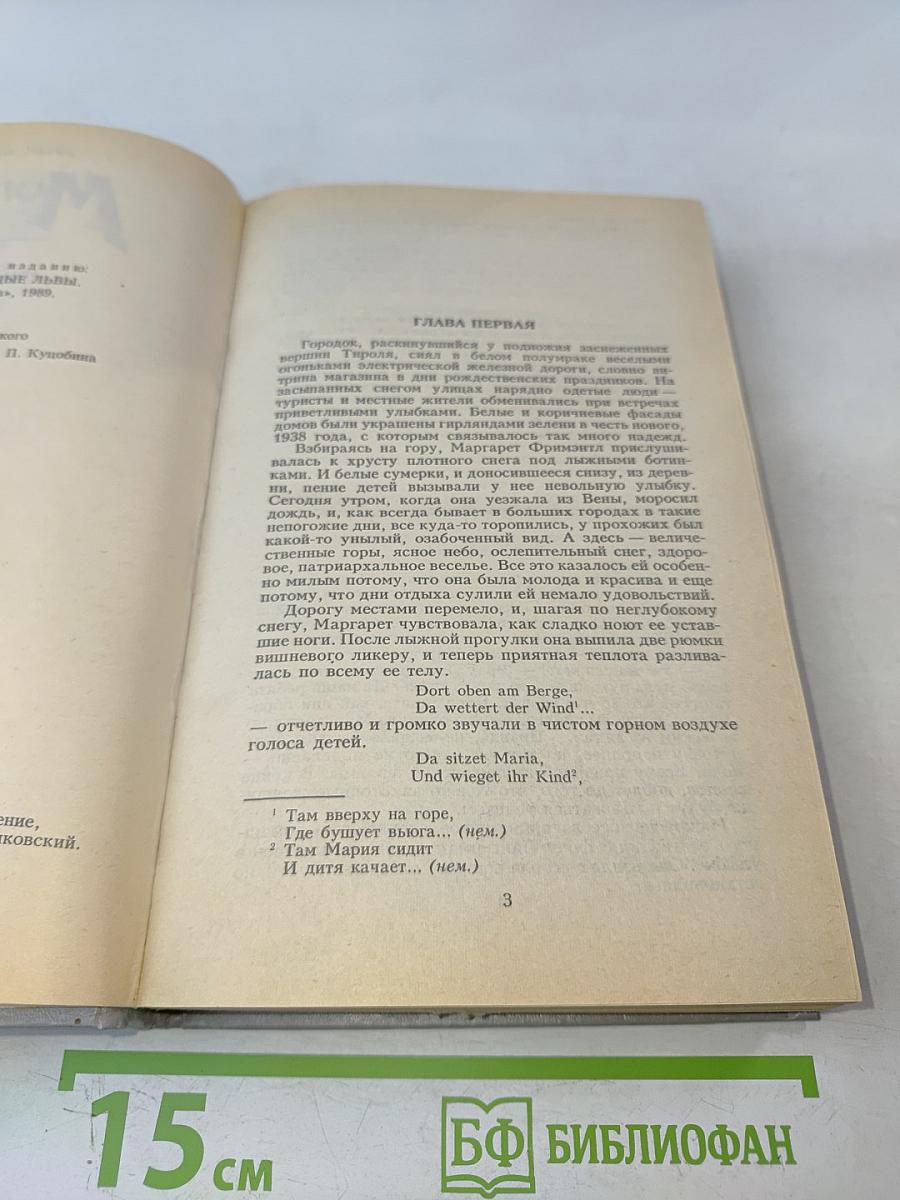 Молодые львы