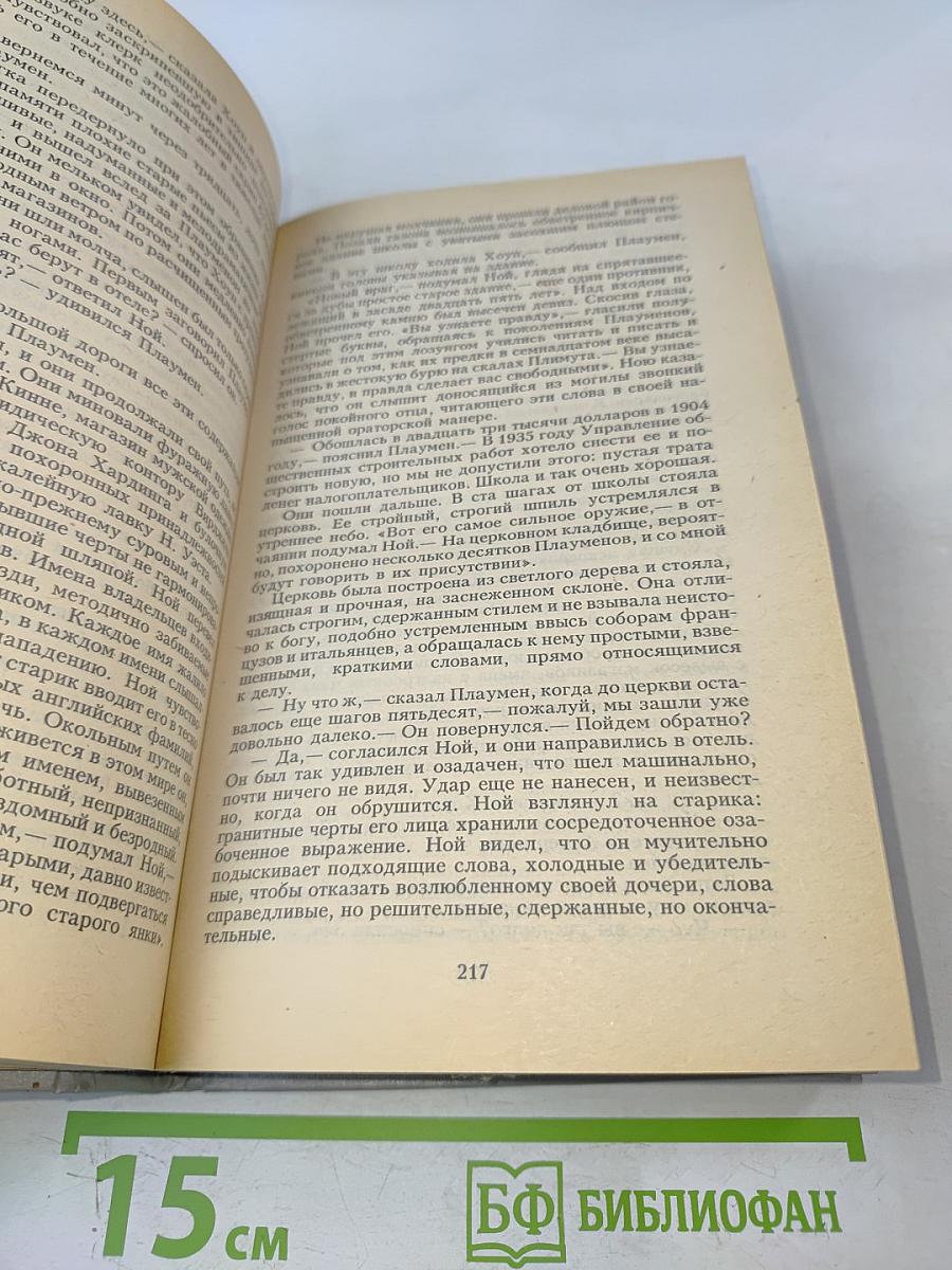 Молодые львы